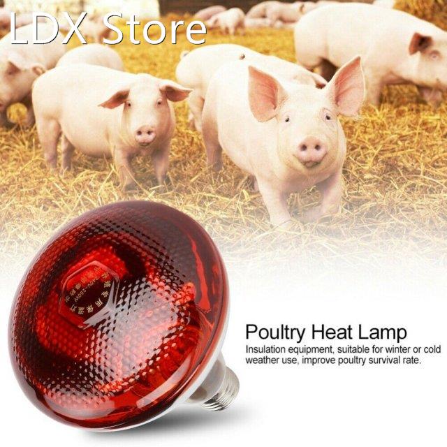 250w Infrared Heat Lamp Waterproof Anti-Explosion Thickened
