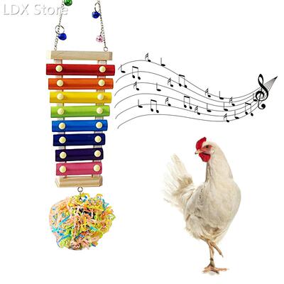Parrot Educational Chicken Xylophone Toy 适用于 Hens Suspens