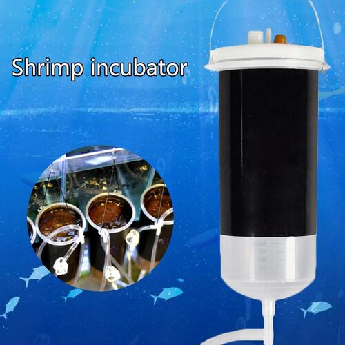 Fish Feed Fairy shrimp egg artemia alive hatch tool Brine p