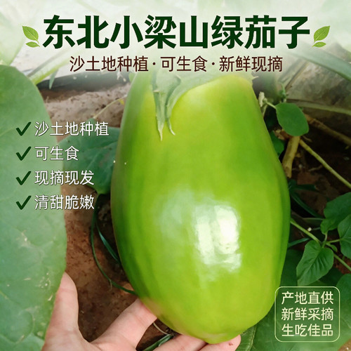 本地绿皮长茄子现采直发无空心鲜嫩薄皮农家自种家常炒菜时令生鲜