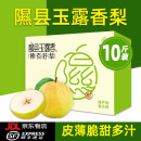 山西隰县玉露香梨新鲜水果梨子旗舰店10斤整箱礼盒装 山区果园