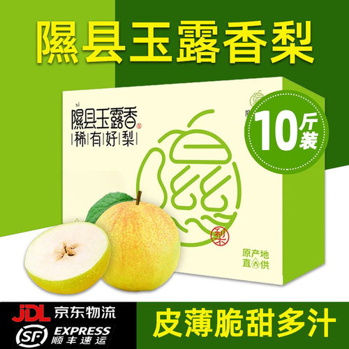 梨贡士正宗山西隰县玉露香梨