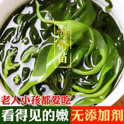 福建霞浦特产海带苗嫩特级预制菜盐渍嫩苗苗头火锅食材商用压缩