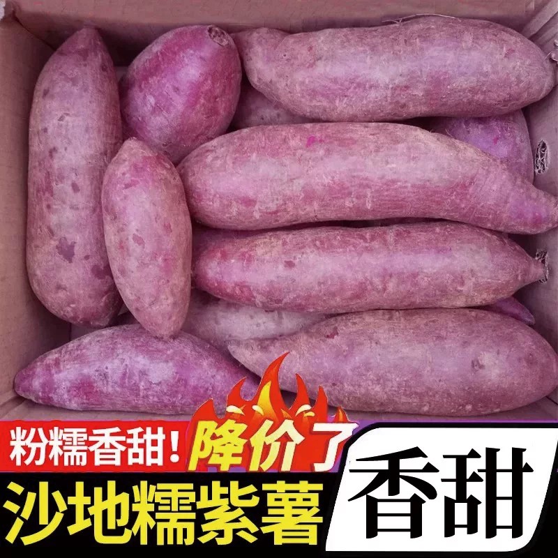 【每日限购一单】紫薯15-20枚!