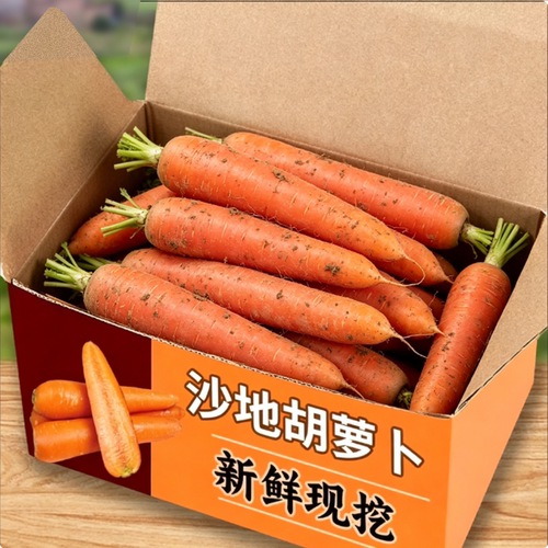 新鲜沙地胡萝卜5斤装，脆甜爽口