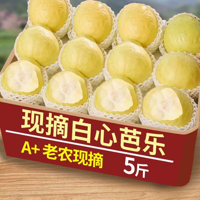 产地精选软糯香甜奶油芭乐6个装
