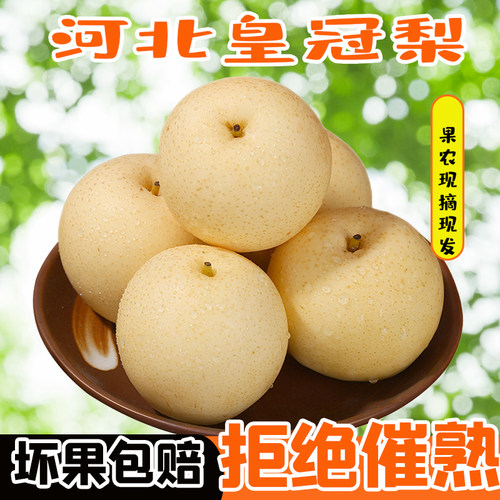 河北皇冠梨脆甜无渣鲜嫩多汁现摘