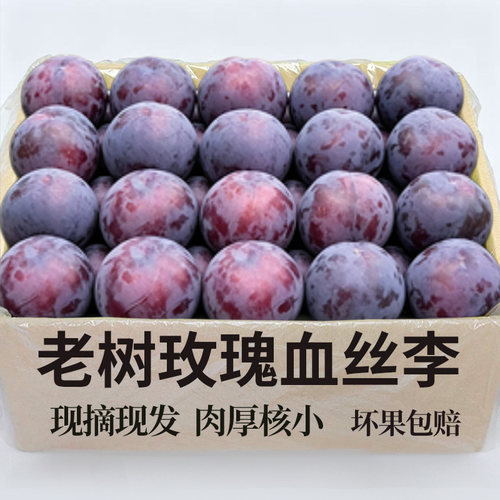 产地严选正宗玫瑰李5斤酸甜多汁