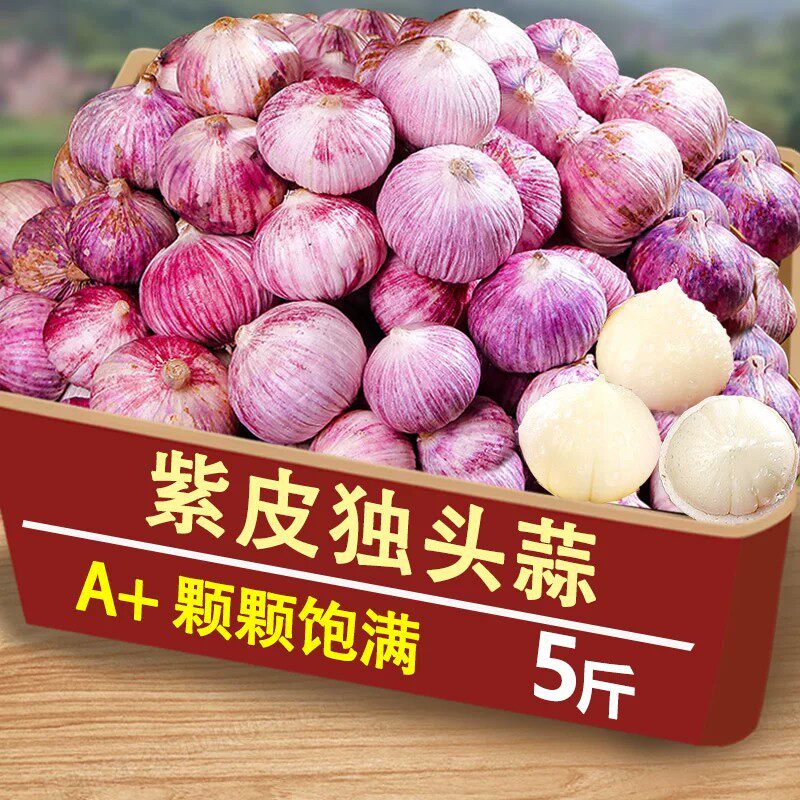 2026年农家紫皮独头蒜红皮鲜蒜独蒜新大蒜新鲜现挖湿蒜蔬菜非干蒜