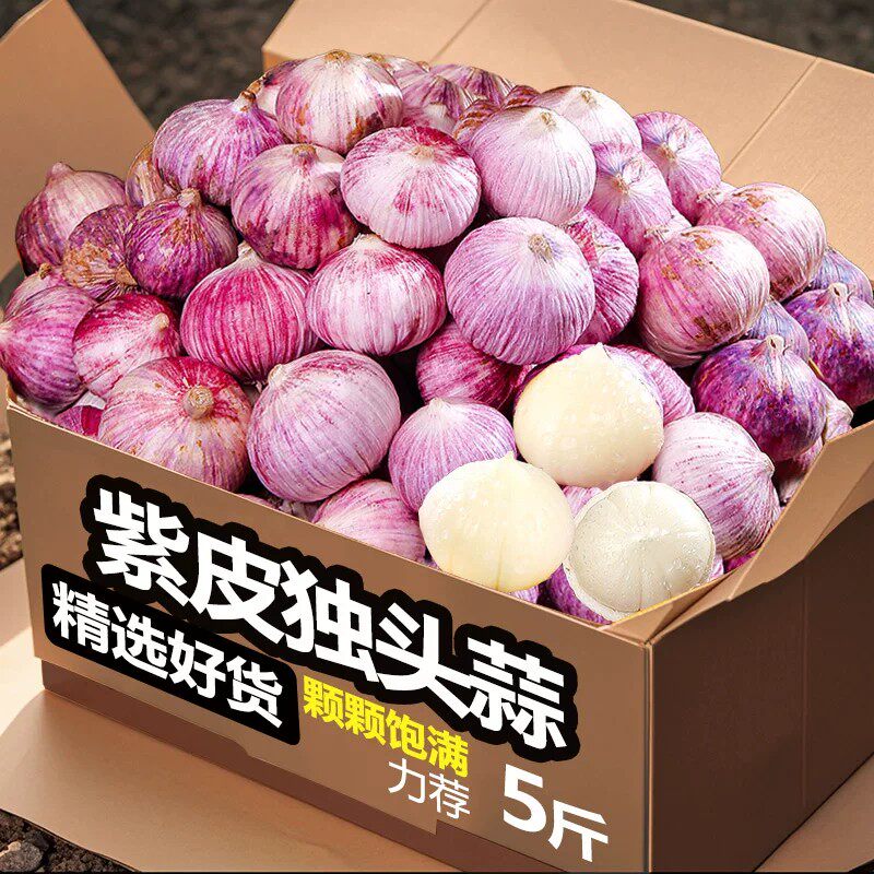 2026年农家紫皮独头蒜红皮鲜蒜独蒜新大蒜新鲜现挖湿蒜蔬菜非干蒜