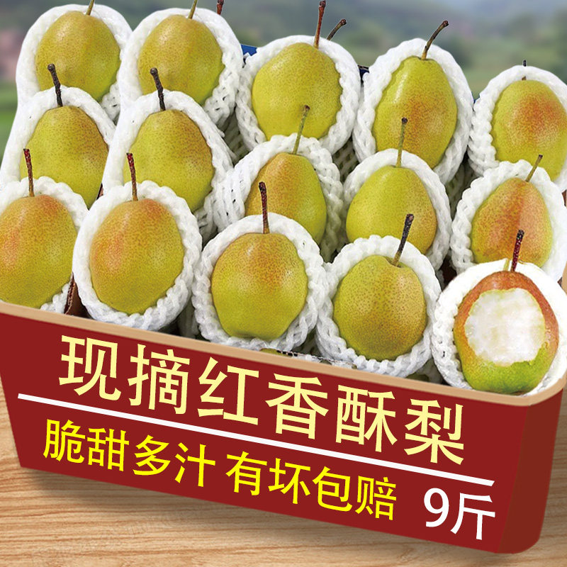 红香酥梨水果新鲜当季香梨脆甜多汁9斤应季山西梨子批整箱包邮