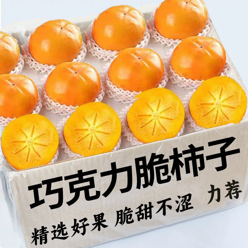 巧克力脆柿子水果新鲜当季整箱包邮大果黄硬甜脆火晶小柿子甜