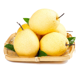 正宗河北雪梨梨子新鲜10斤水果鸭梨砀山梨翠冠梨当季整箱