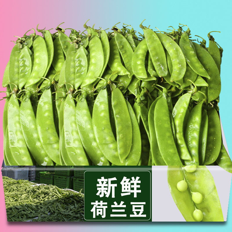 当季新鲜荷兰豆四季豆现摘现发农家自种精选好货新鲜蔬菜新鲜包邮