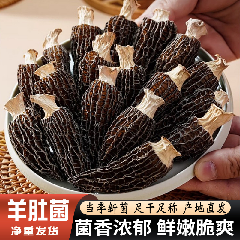 精选羊肚菌干货土特产