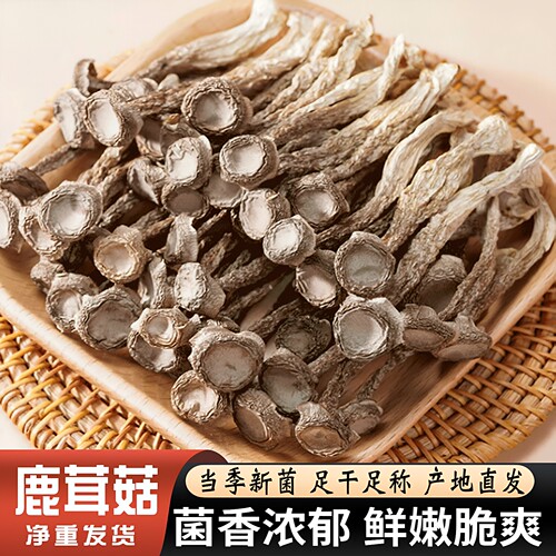精选当季鹿茸菇干货菌菇