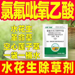 氯氟吡氧乙酸异辛酯水花生除草烂根剂水花生空心莲子草正品药