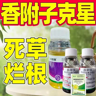 香附子专用除草剂香附子克星除草烂根剂正品除香附子专用药套餐