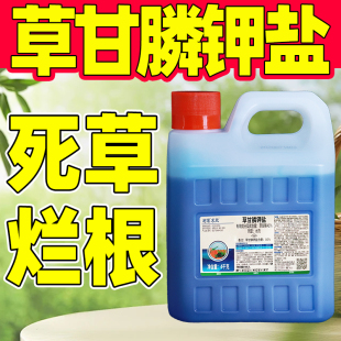 树荣求败50%草甘磷钾盐草甘磷除草烂根剂除草剂补钾草甘膦杀草剂