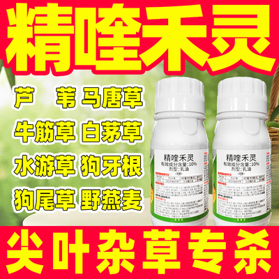 10%精喹禾灵除草剂大豆田除草剂