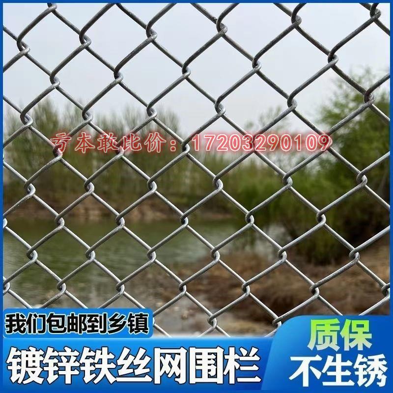 热镀锌铁丝网围栏网养鸡狗牛羊养殖网勾花网钢丝网户外防锈防护网