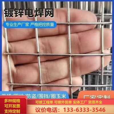 镀锌电焊网防鼠围栏铁丝网养鸡养狗家用护栏网隔离钢丝网荷兰网格