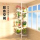 顶天立地花架置物架飘窗窗台阳台爬藤支撑柱子多肉客厅立柱花盆架