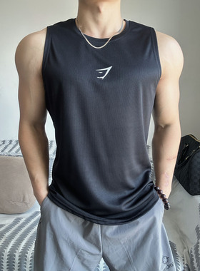 潮牌速干运动背心无袖肌肉训练兄弟夏季健身跑步吸湿排汗新款t恤