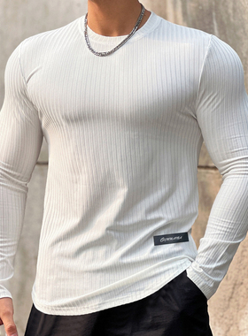 潮牌条纹纯色健身透气长袖男篮球跑步训练弹力速干运动T恤衣服