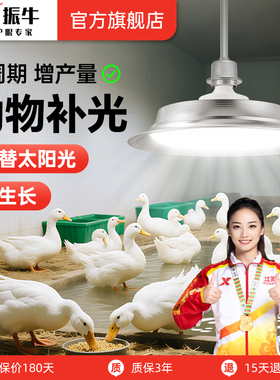 动物生长灯鸟类鹦鹉鸽子繁殖灯宠物禽畜养殖场专用全光谱补光灯