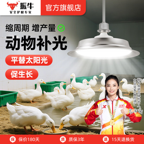 动物生长灯鸟类鹦鹉鸽子繁殖灯宠物禽畜养殖场专用全光谱补光灯