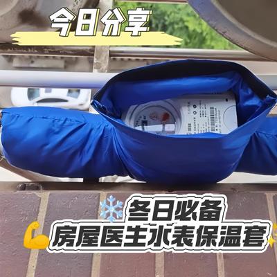 有了它冬季再也不怕水表上冻啦