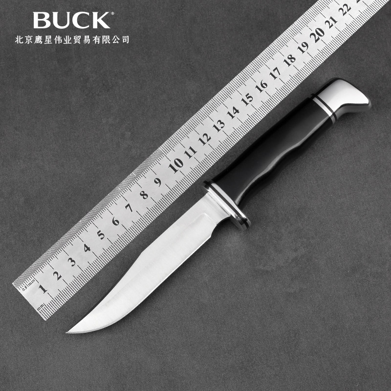 buck美国巴克进口420hc不锈钢狩猎直刀户外随身装备黑色小直刀117