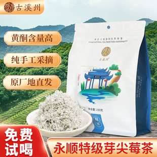 古溪州永顺莓茶张家界官方旗舰店新茶正品龙须芽尖藤茶土家特产
