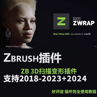 ZWrap投射 视频教程R3DS Zbursh神级插件Zwrap 模型扫描自动拓扑