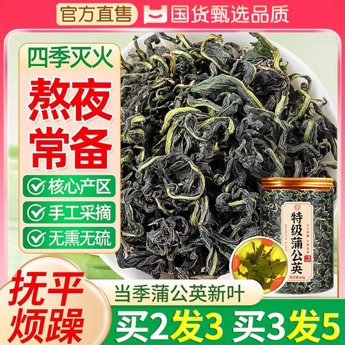 蒲公英茶叶正品婆婆丁特级野生中药材新鲜散茶浦公英根官方旗舰店