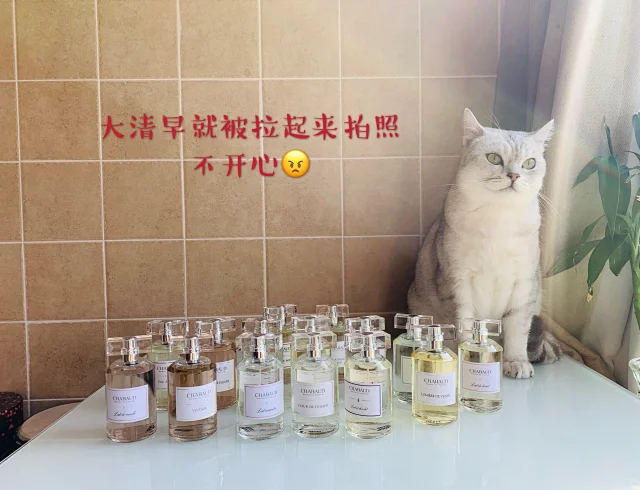 分装莎邦纯牛奶香草巧克力