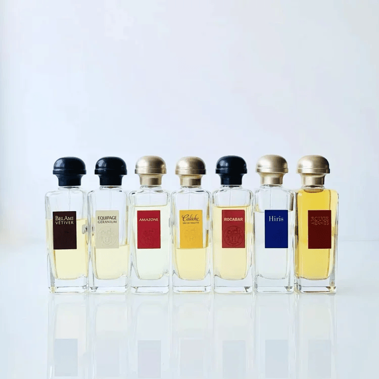 漂亮朋友香根草天竺葵小样