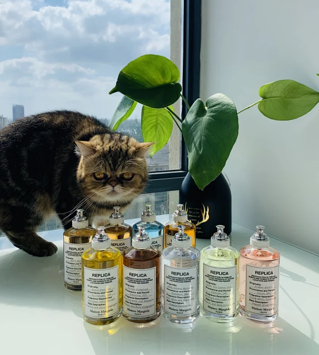 壁炉火光/慵懒周日/爵士酒廊