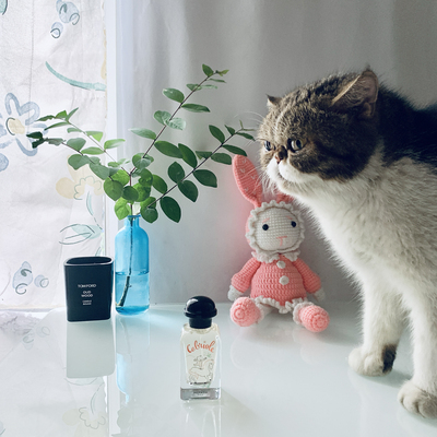 欢颜跃语蹦蹦跳跳儿童香水