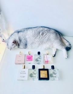 午后伯爵茶水/一叶之庭/玫瑰晨语/夏栀秘语/幻悦/香调香水小样