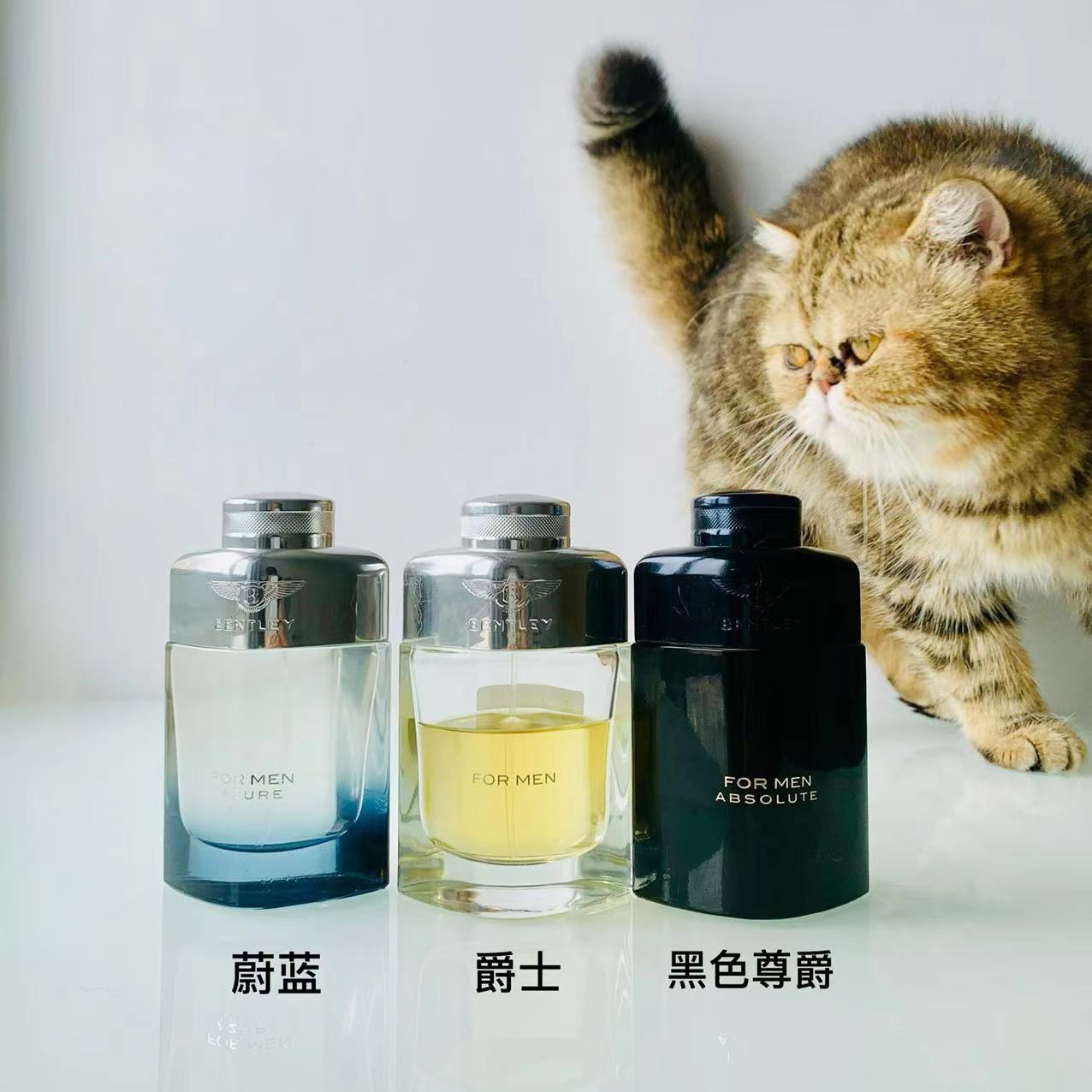 爵士/安静的朗姆酒/黑色尊/爵蔚蓝香水淡香