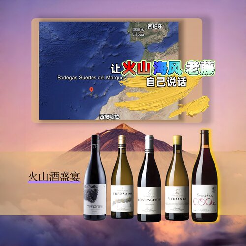 高分大西洋火山酒代表福爵酒庄酒