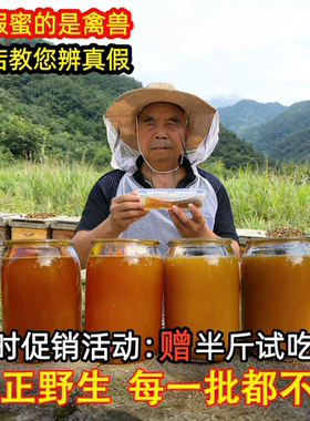 【万人收藏】野生土蜂蜜纯天然农家成熟无添加木桶结晶百花蜜2斤