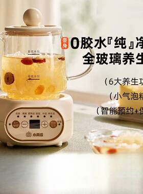小南瓜养生杯办公室小型全自动加厚玻璃保温家用多功能煮茶养生壶