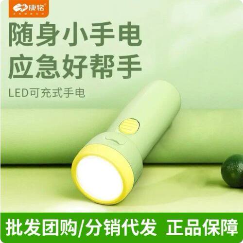 8951手电筒儿童学生户外家用照明LED可充电式塑料手电筒