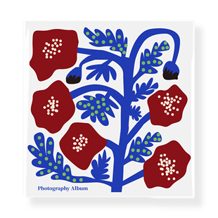 原创设计小清新相册生日礼物纪念册手工DIY照片影集拍立得收纳本