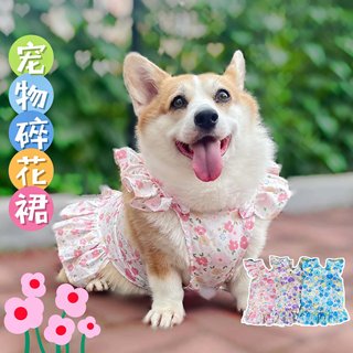 宠物春夏衣服狗狗碎花吊带背心裙柯基柴犬中大型犬荷叶边公主裙