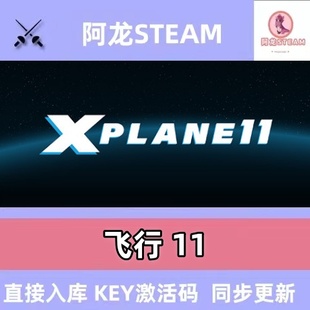 电脑在线游戏PC 模拟飞行11steam全球区国区激活码 CDKEY兑换码