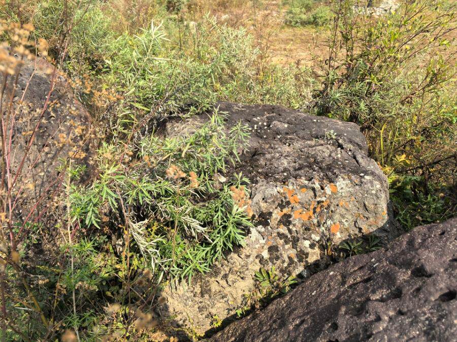 4月2日延边朝鲜族自治州国际贸易公司1480块景观石网络拍卖公告